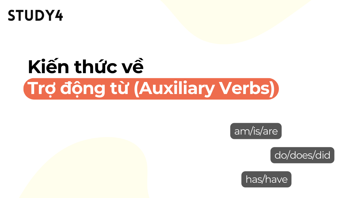 Trợ động từ (Auxiliary Verbs) là gì? Cách dùng trợ động từ